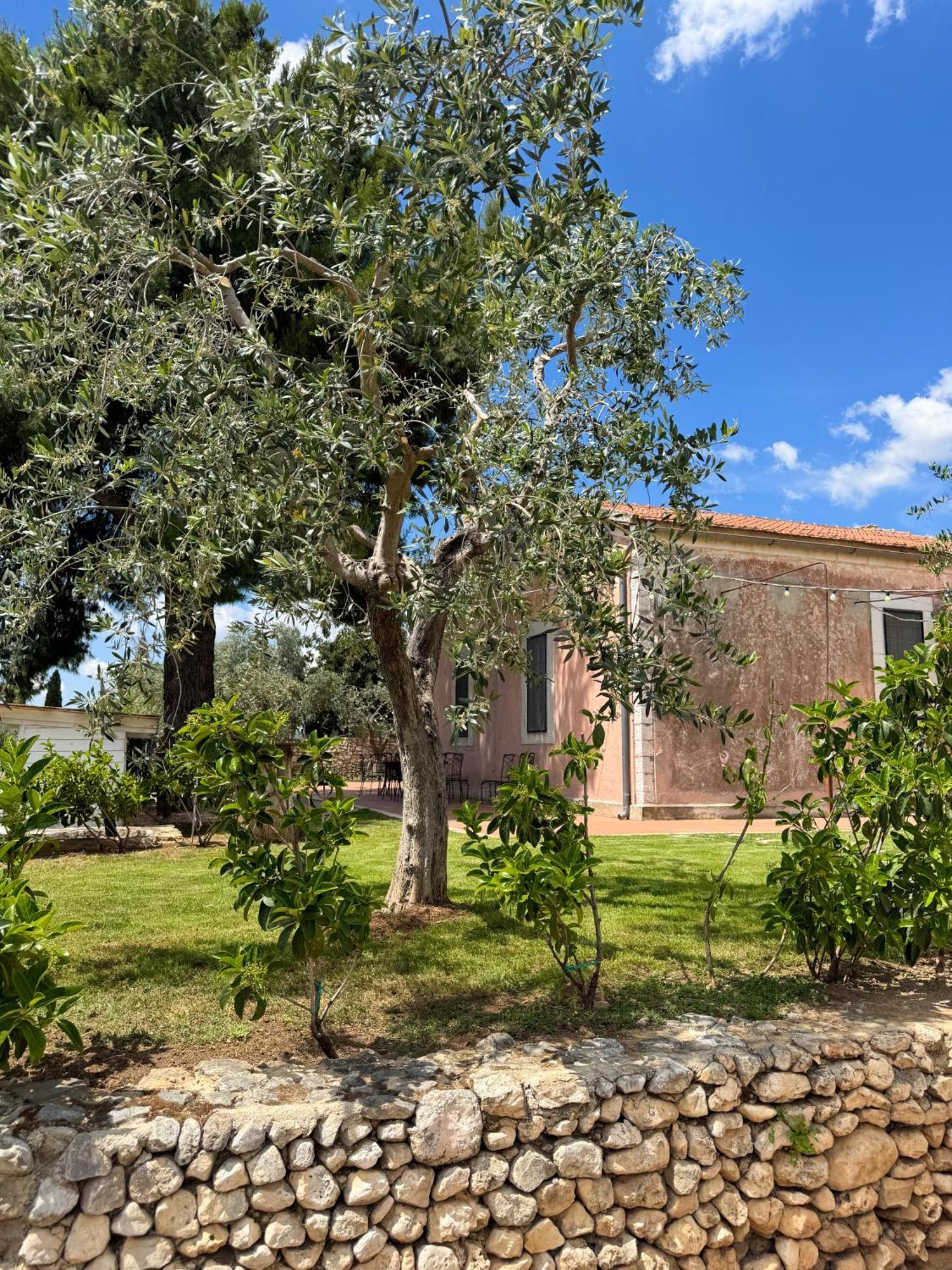Signor Cesare Agrobistrot B&B San Giovanni Rotondo Luaran gambar