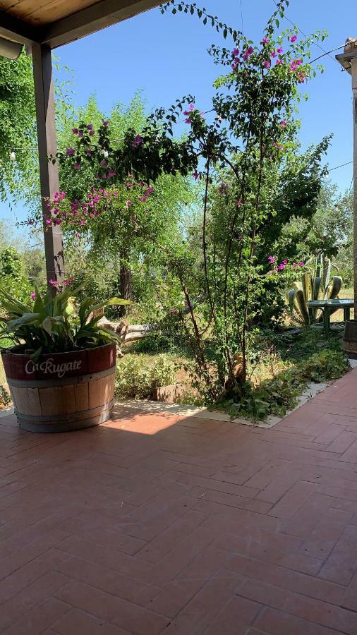 Signor Cesare Agrobistrot B&B San Giovanni Rotondo Luaran gambar